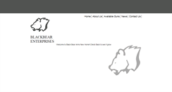 Desktop Screenshot of blackbeararms.com